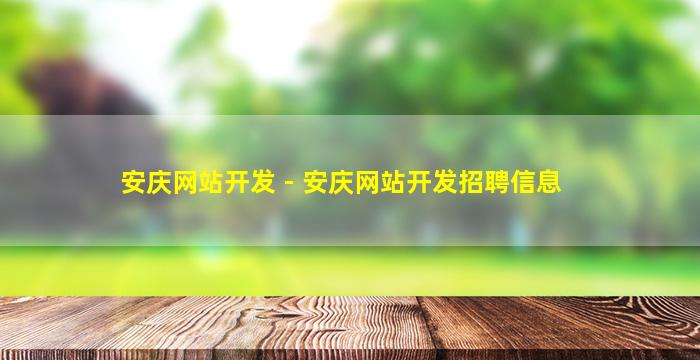 安庆网站开发 - 安庆网站开发招聘信息